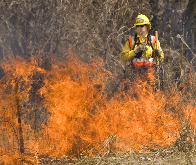 Photo of Ken Graeve monitoring a prescribed burn.